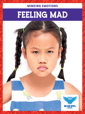 cover image of Feeling Mad